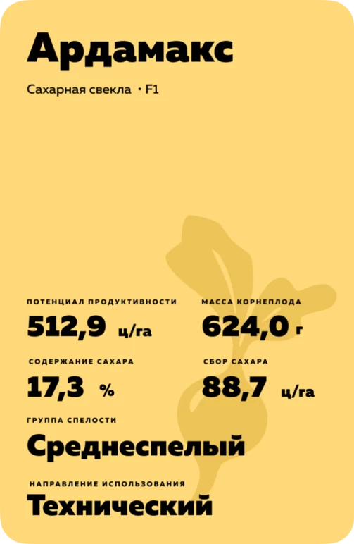 Ардамакс - гибрид свеклы сахарной (Beta vulgaris L. ssp. vulgaris var. saccharifera Alef.).