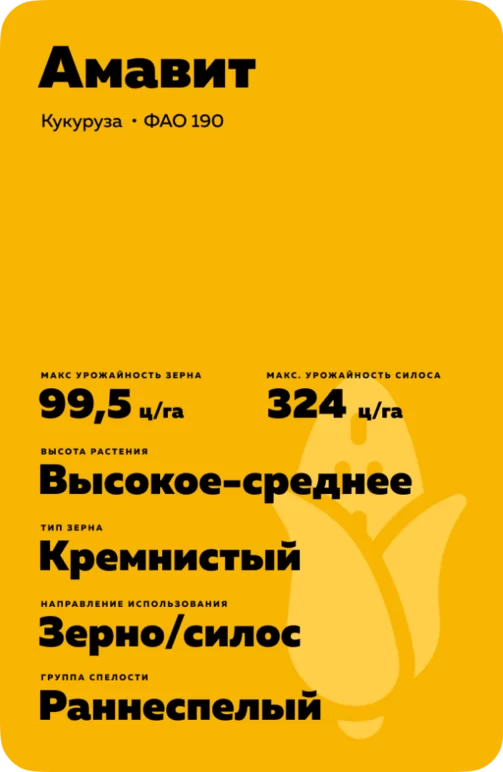 Амавит кукуруза