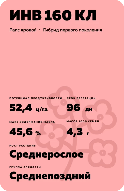 ИНВ 160 КЛ (INV 160 CL) рапс яровой