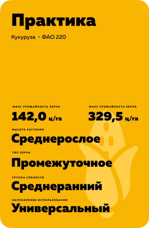 Практика