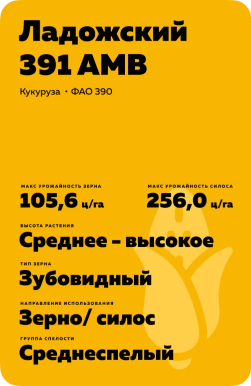 Ладожский 391 АМВ