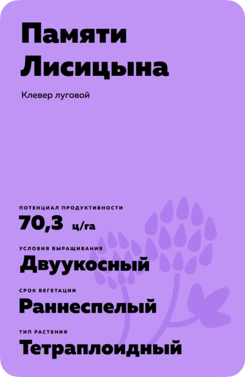 Памяти Лисицына