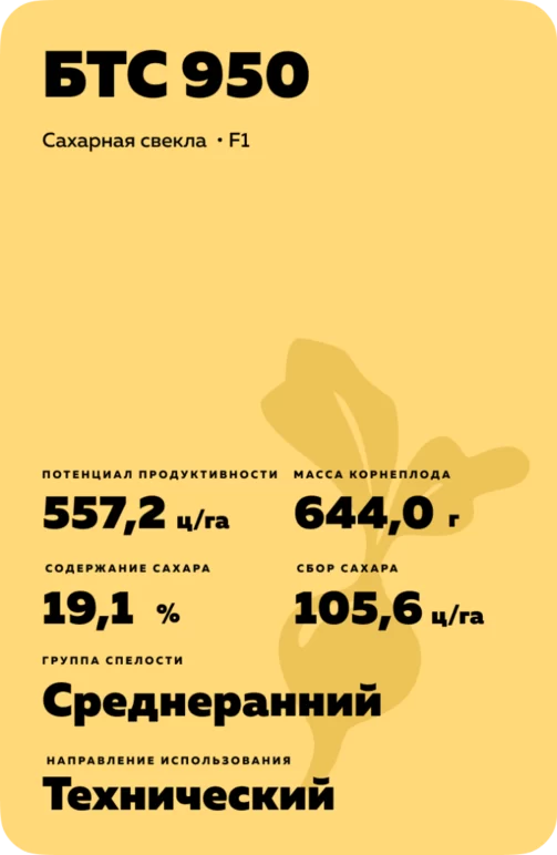 БТС 950 (BTS 950) сахарная свекла