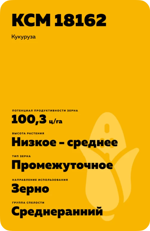 КСМ 18162 гибрид кукурузы