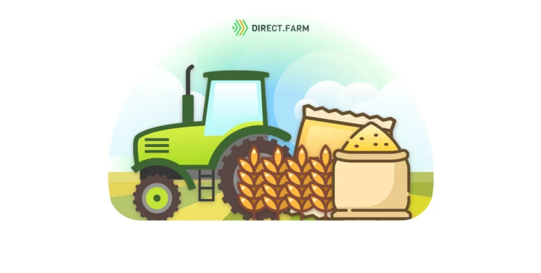 Озимая пшеница – технология возделывания от посева до уборки