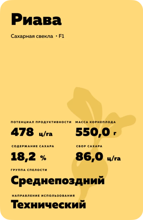 Риава