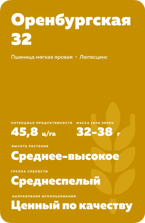 Оренбургская 32