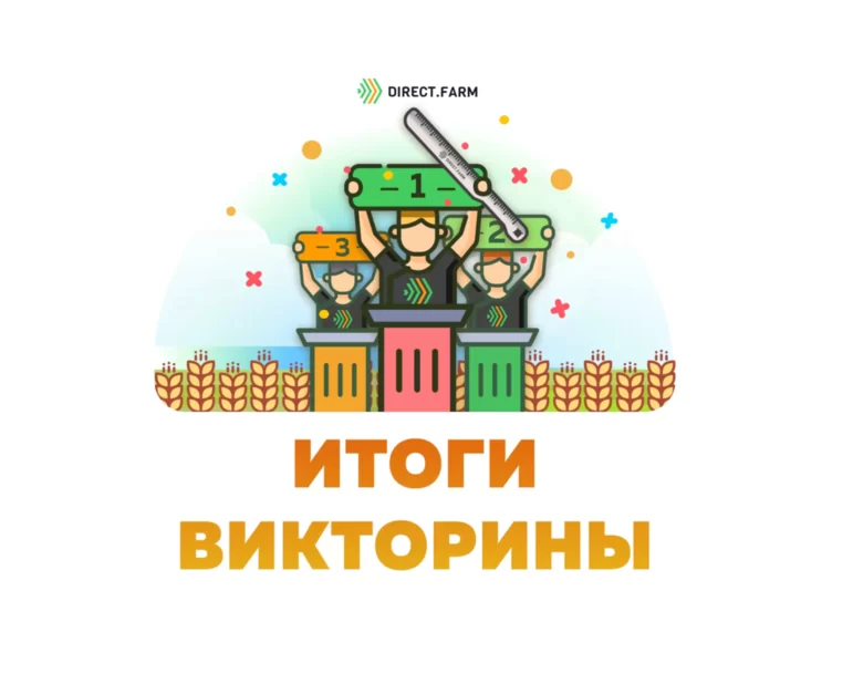 Итоги викторины