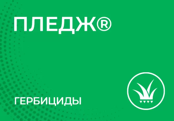 Гербицид пледж. Пледж гербицид фото. Сумиагро. Carrilio Пледж Рабусто.