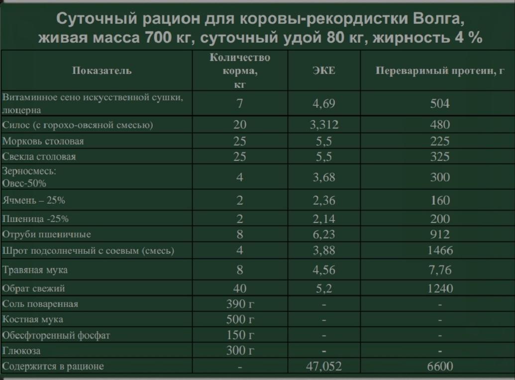 Как кормить коров с высокой продуктивностью?