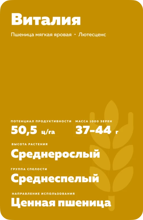 Виталия пшеница мягкая яровая
