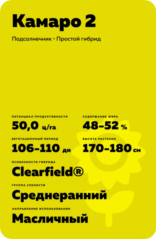 Камаро 2 (CAMARO II) гибрид подсолнечника