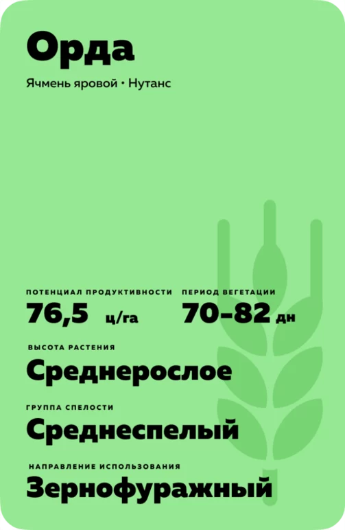 Орда сорт ярового ячменя