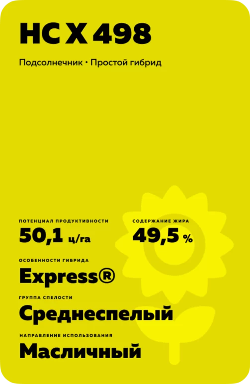 НС Х 498 подсолнечник