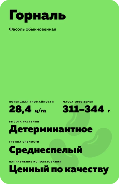 Горналь