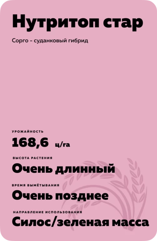 Нутритоп стар