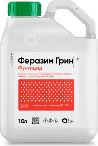Феразим Грин, КС