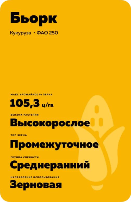 Бьорк
