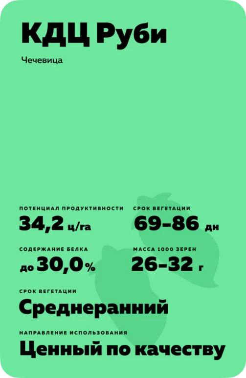 КДЦ Руби - сорт чечевицы Эко Нива семена