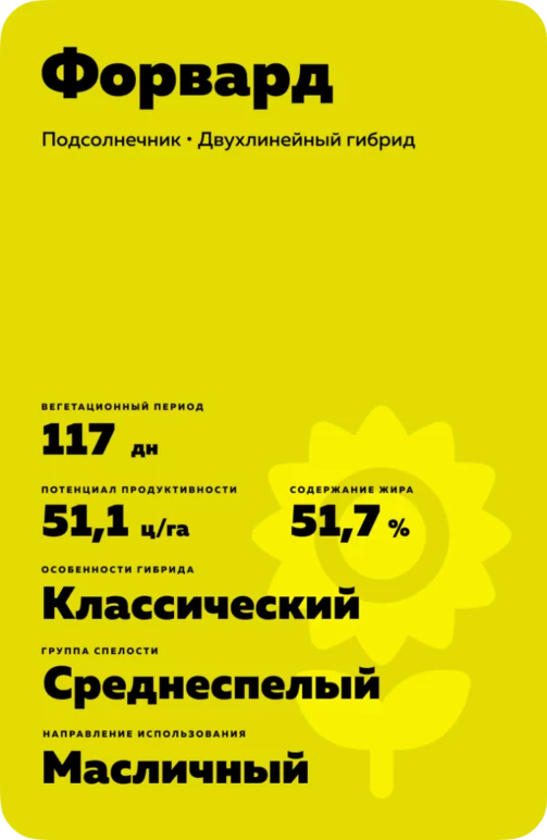 Форвард подсолнечник