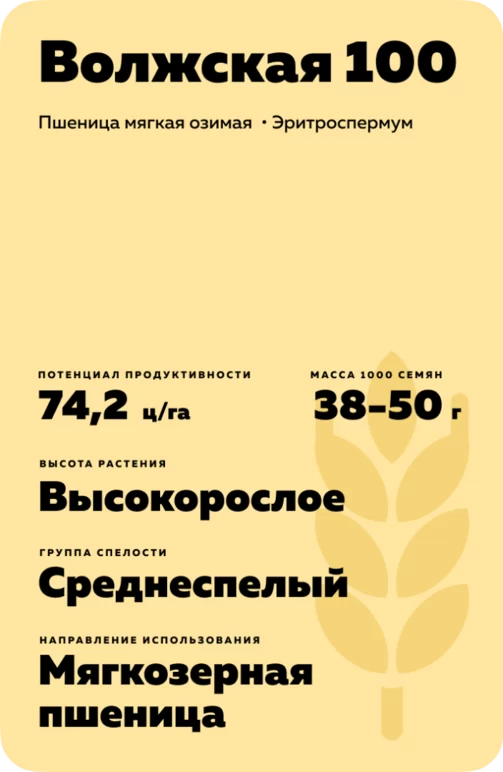 Волжская 100
