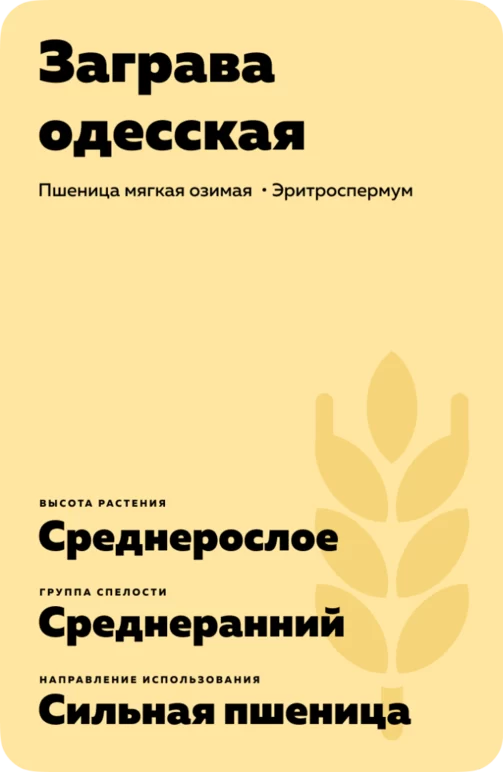 Заграва одесская