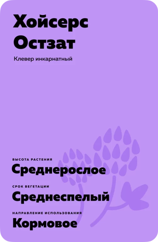 Хойсерс Остзат (HEUSERS OSTSAAT)