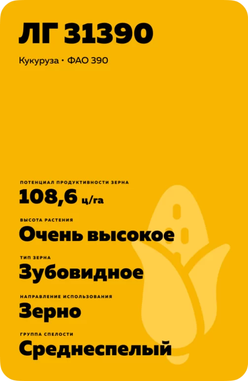 ЛГ 31390 гибрид кукурузы