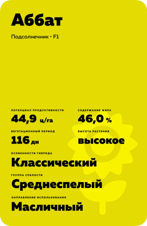 Аббат гибрид подсолнечника