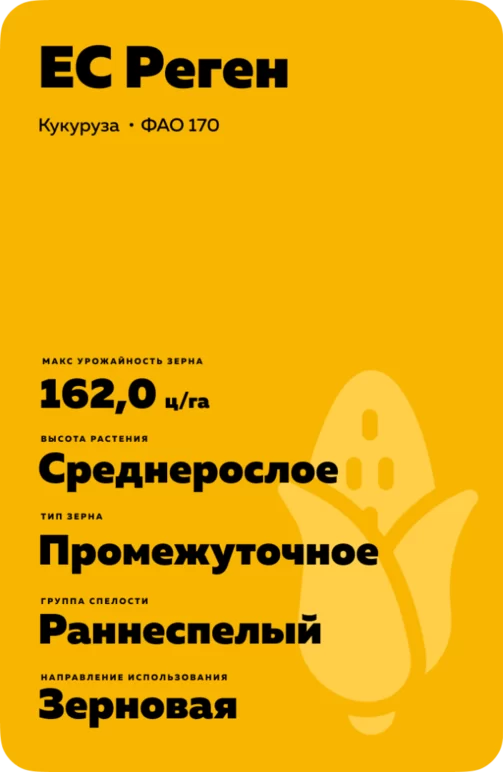 ЕС Реген (ES REGAIN)