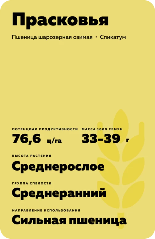 Прасковья