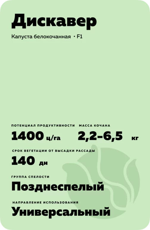 Дискавер (DISCOVER) гибрид капусты белокочанной