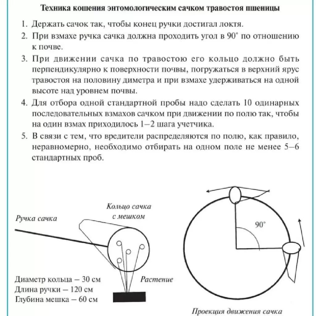 Сачок для бабочек