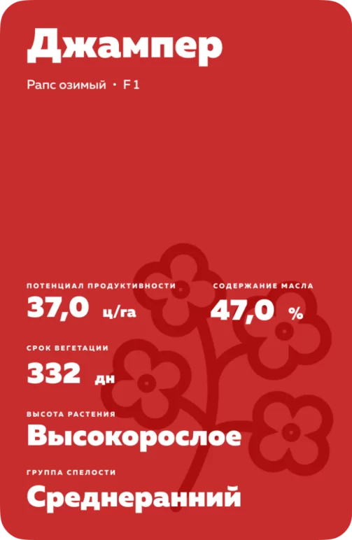 Джампер (JUMPER) рапс озимый