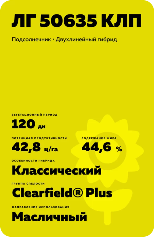 ЛГ 50635 КЛП подсолнечник Лимагрейн