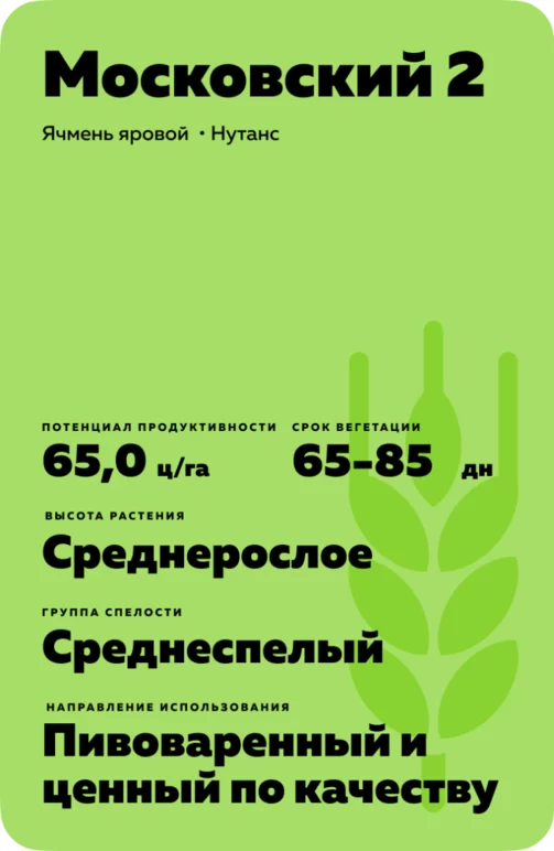Московский 2 сорт ячменя ярового