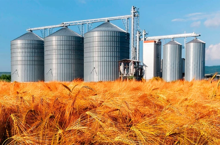 Россия закупит 1 млн тонн пшеницы в интервенционный фонд в 2022 году