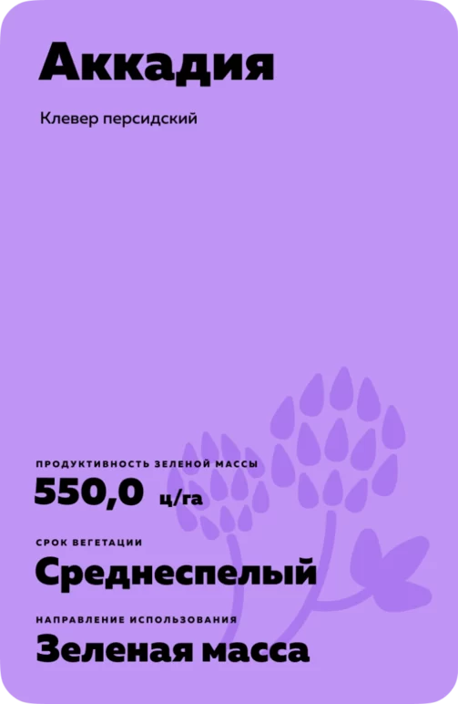 Аккадия (ACCADIA)