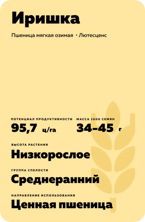 Иришка