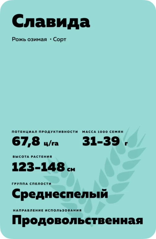 Славида рожь озимая