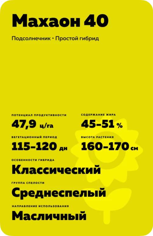 Махаон 40 гибрид подсолнечника
