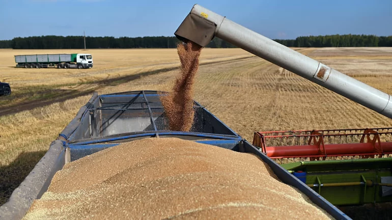 С 15 февраля по 13 июня в России будет действовать квота на вывоз зерна за рубеж