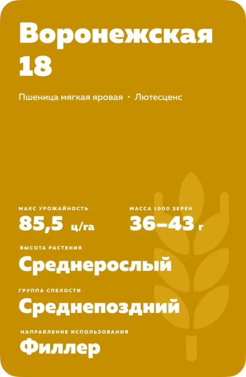 Воронежская 18