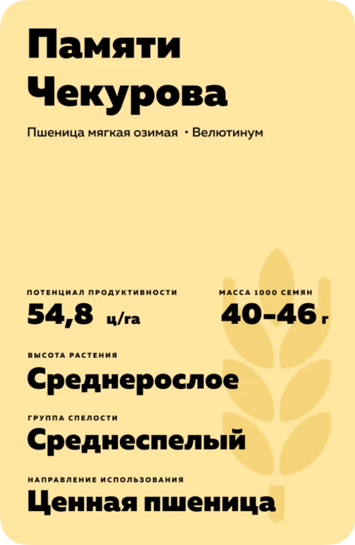 Памяти Чекурова