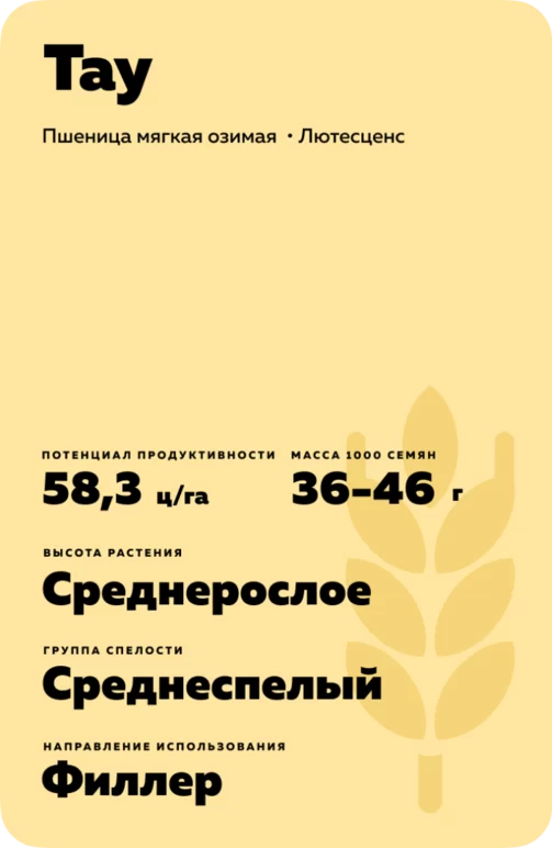 Тау
