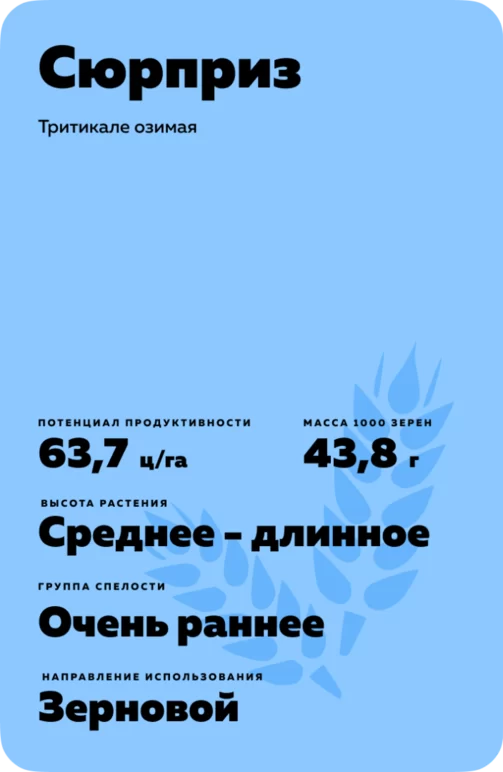 Сюрприз
