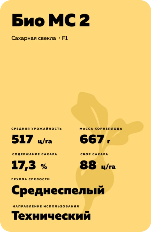 Био МС 2 гибрид сахарной свеклы