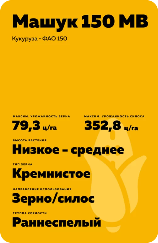 Машук 150 МВ
