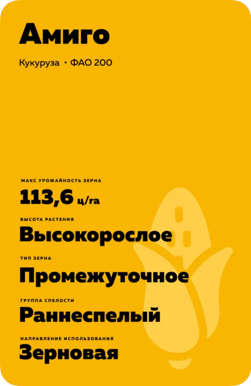 Амиго