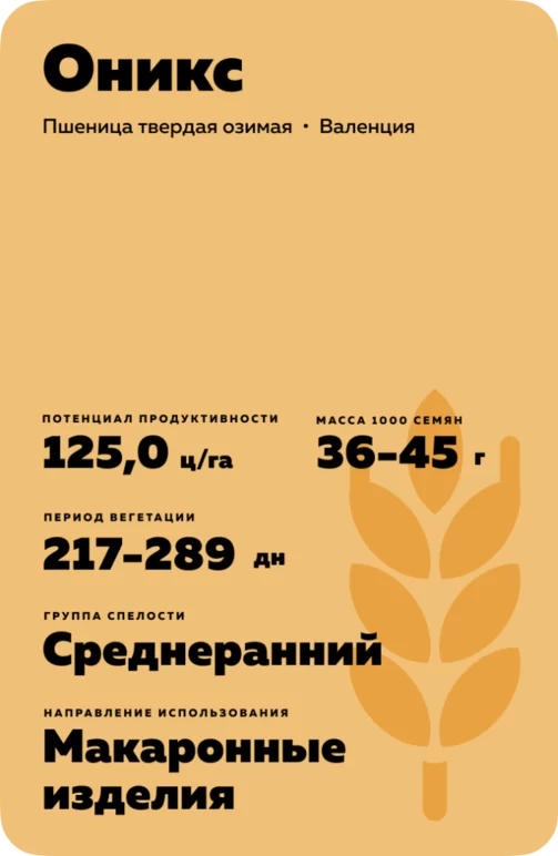 Оникс сорт твердой озимой пшеницы